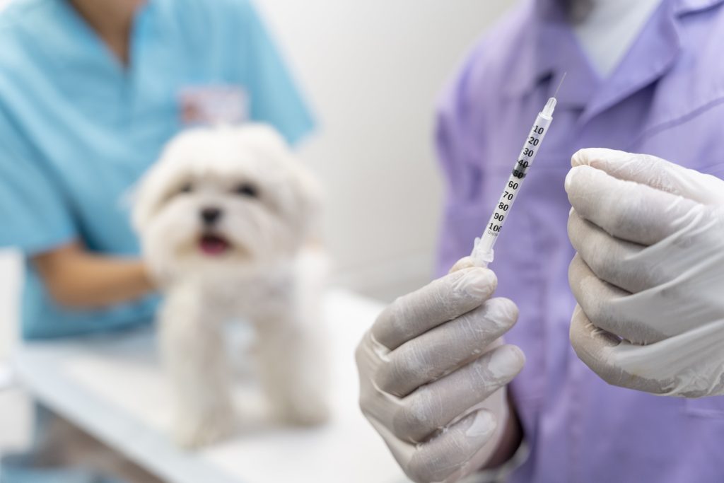 Dog being administered heartworm preventive medication