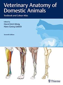 veterinary anatomy pdf books free download