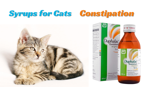 Constipation Syrups for Cats in Pakistan