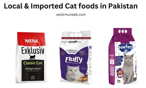 top 10 best and affordable cat foods in pakistan