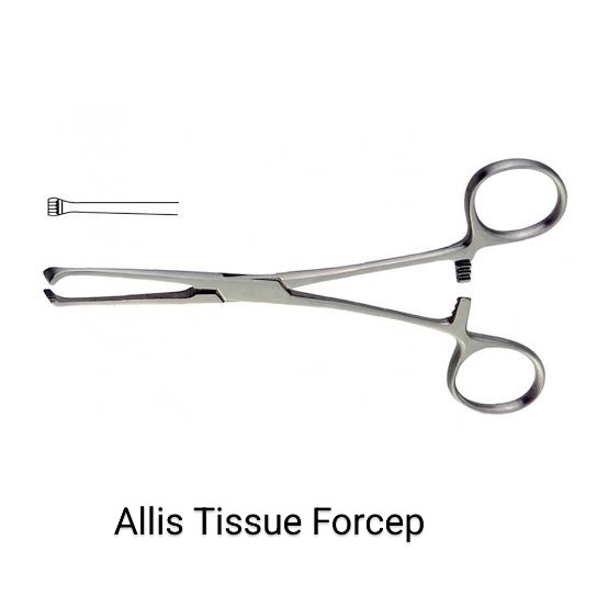 Allis tissue forcep
