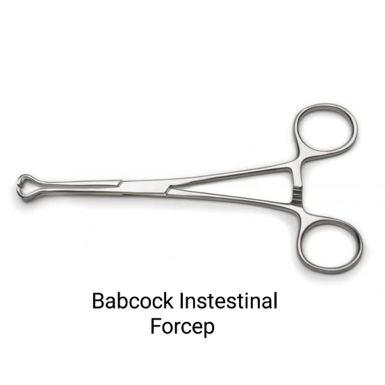 babcock intestinal forcep