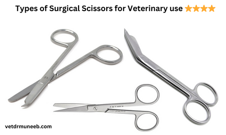 Different types of surgical scissors in veterinary surgery