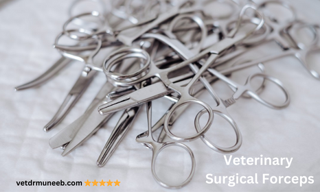 types of forceps in veterinary surgery